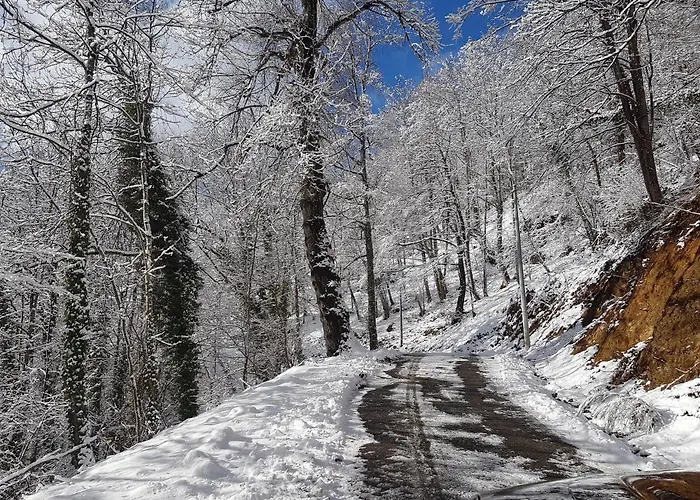 Le De Pyrene Et Hercule Arignac